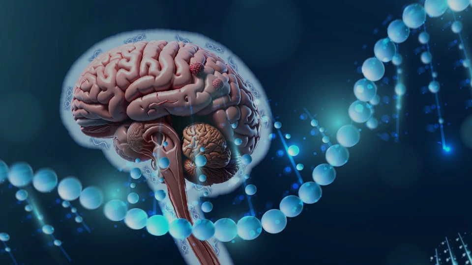 CSF - Cerebral Spinal Fluid testing overview